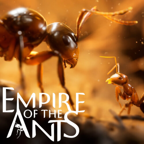 بازی Empire of the Ants برای کامپیوتر
